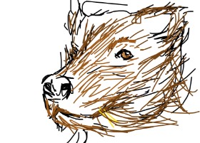 [USER_UNIDENTIFIED] の クマ の絵