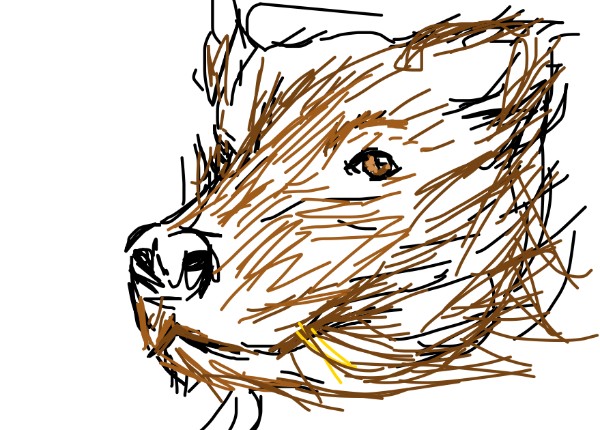 [USER_UNIDENTIFIED] の クマ の絵