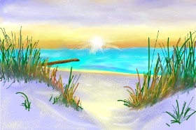 Betula の ビーチ の絵
