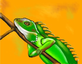 Cec の トカゲ の絵