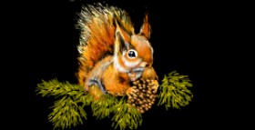 Drawing of Squirrel by Eclat de Lune
