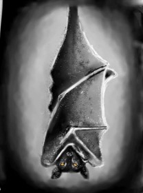 Šišmiš - autor: Amy ^^