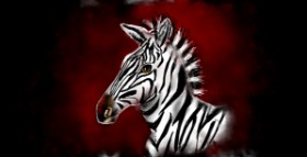 Drawing of Zebra by Eclat de Lune