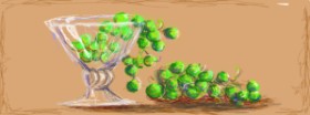 Drawing of Grapes by Paranoia