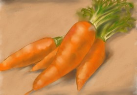 Рисунок на тему «Морковь» — автор: Sunya