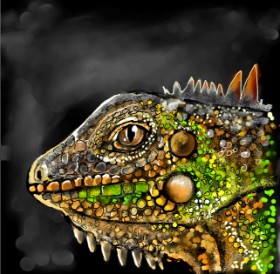Leah の トカゲ の絵