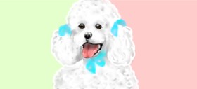 DebbyLee の プードル の絵