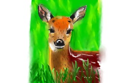 Herbert の 鹿 の絵
