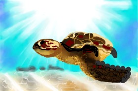 Sirak Fish の ウミガメ の絵