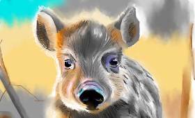 Drawing of Wild boar by Herbert