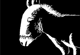 Jack536 の ロバ の絵
