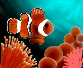 Рисунок на тему «Clownfish» — автор: Grace🥀🦋