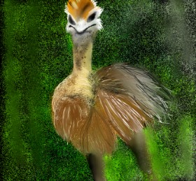 Drawing of Ostrich by Yashi 🐢