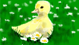 SAM AKA MARGARET 🙄 の アヒル の絵