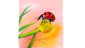Rush の てんとう虫 の絵