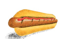 Drawing of Hotdog by Sam
