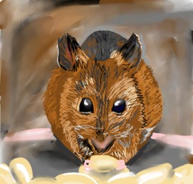 Рисунок на тему «Мышь» — автор: Rose rocket