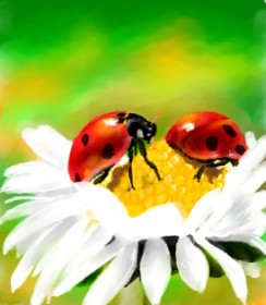 Bugoy の てんとう虫 の絵