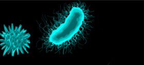 Drawing of Bacteria by •Brooklyn•