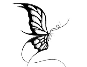 Drawing of Butterfly by lil slut