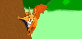 Drawing of Squirrel by meebo