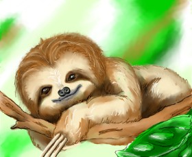 Audrey の ナマケモノ の絵