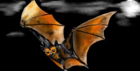 Šišmiš - autor: Eclat de Lune