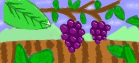 Drawing of Grapes by saRA
