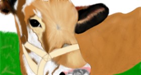 Çhåching の 牛 の絵