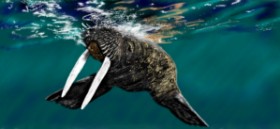 Drawing of Walrus by Çhåching