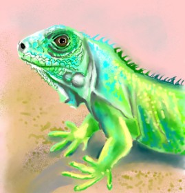 ⋆su⋆vinci彡 の トカゲ の絵