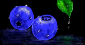 Рисунок на тему «Черника» — автор: Eclat de Lune