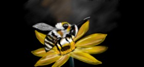 Drawing of Bumblebee by Çhåching