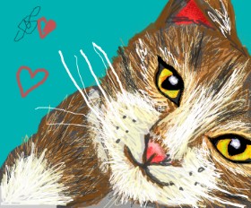 MRPANDA2 の 猫 の絵
