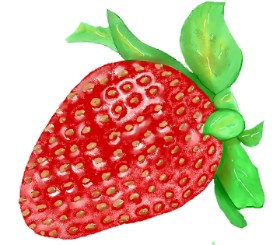 Drawing of Strawberry by GJP