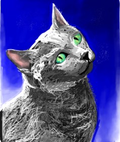 Rose rocket の 猫 の絵