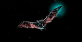 Šišmiš - autor: Eclat de Lune
