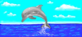 shiNIN の イルカ の絵