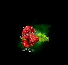 Malina - autor: Dona