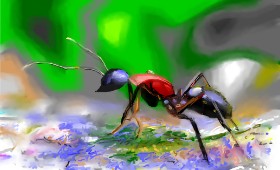 Herbert の アリ の絵