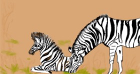 Zebra-Zeichnung von Maggy