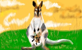SAM AKA MARGARET 🙄 の カンガルー の絵