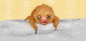 shiNIN の ナマケモノ の絵