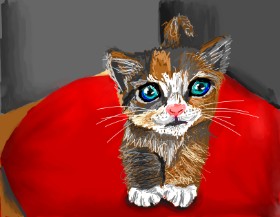 Рисунок на тему «Котенок» — автор: Lola
