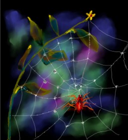 Drawing of Spider web by Belem