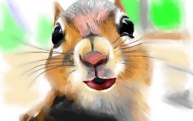 Рисунок на тему «Белка» — автор: DrawSomething