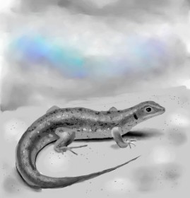 Яandi の トカゲ の絵