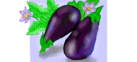 Рисунок на тему «Баклажан» — автор: DebbyLee