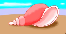 Swimmer  の 貝殻 の絵