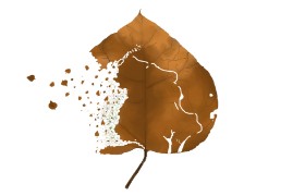 jule の 葉 の絵